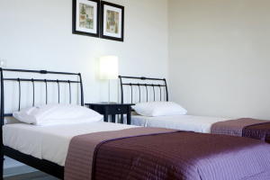 Asteri twin bed