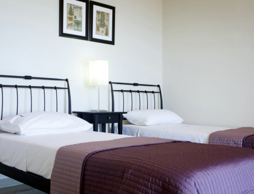Asteri twin bed
