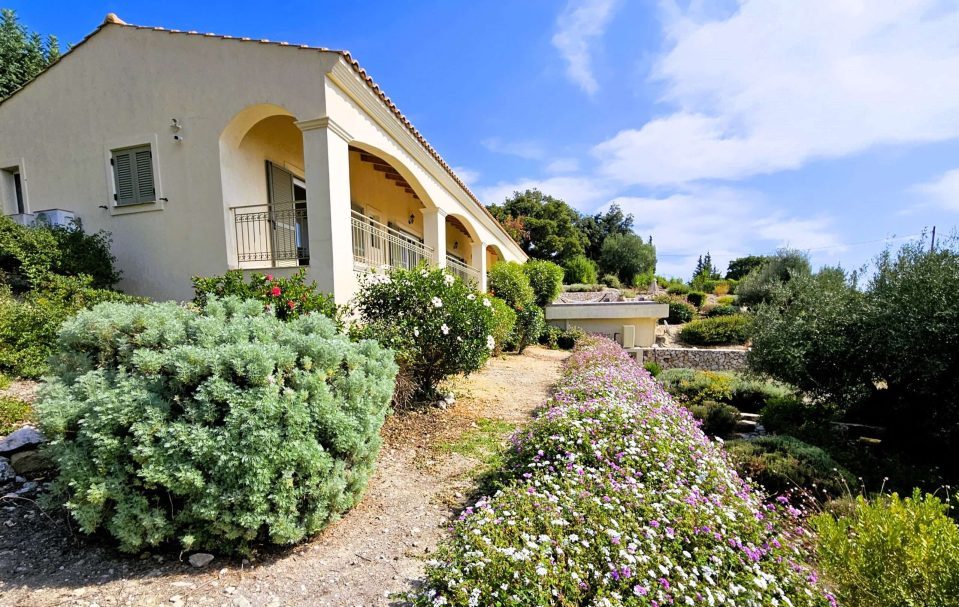 Asteri garden view east