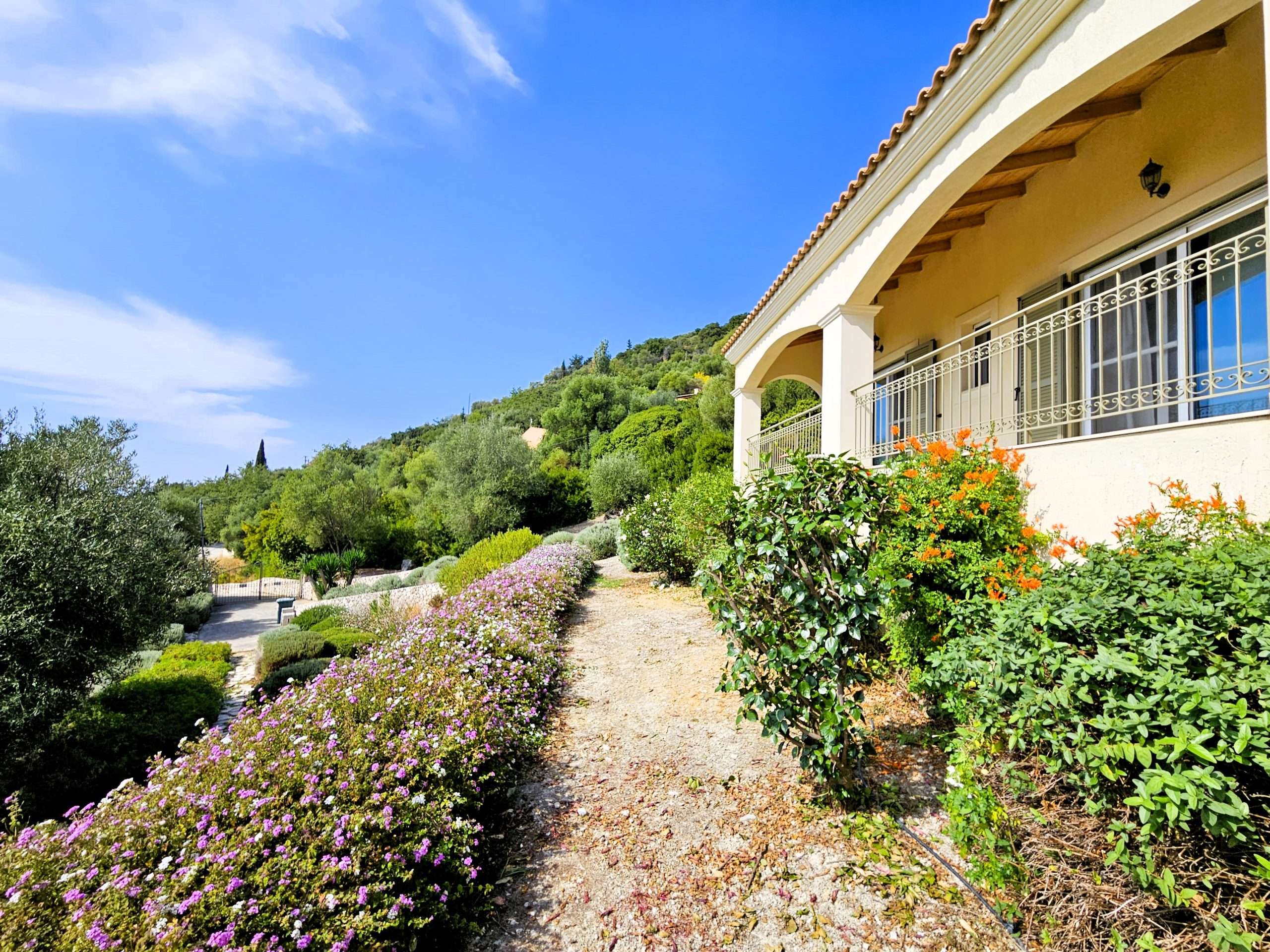 Asteri garden view west
