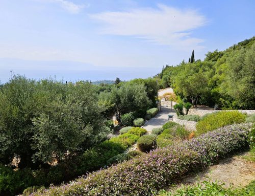 Asteri garden view south